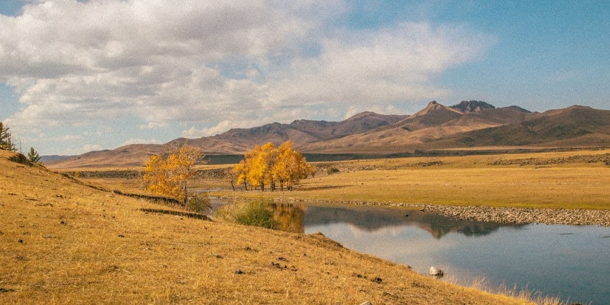 Golden autumn trees along a river with mountains in the background on the Mongolian steppe