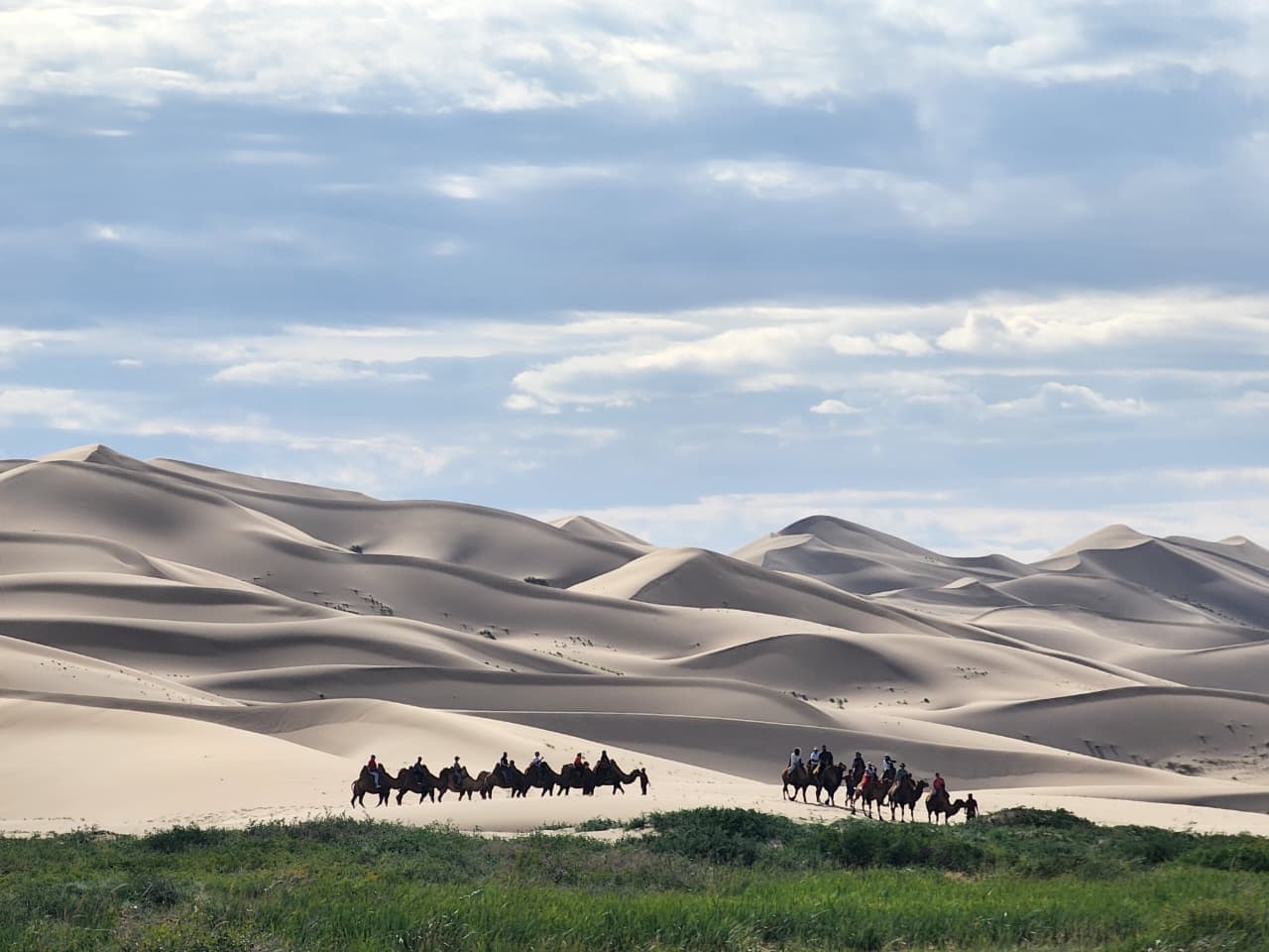 A caravan of Bactrian camels crossing the Khongor Sand Dunes