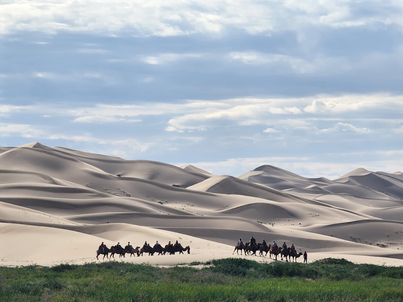 4-Day South Gobi: Drive Out, Fly Back