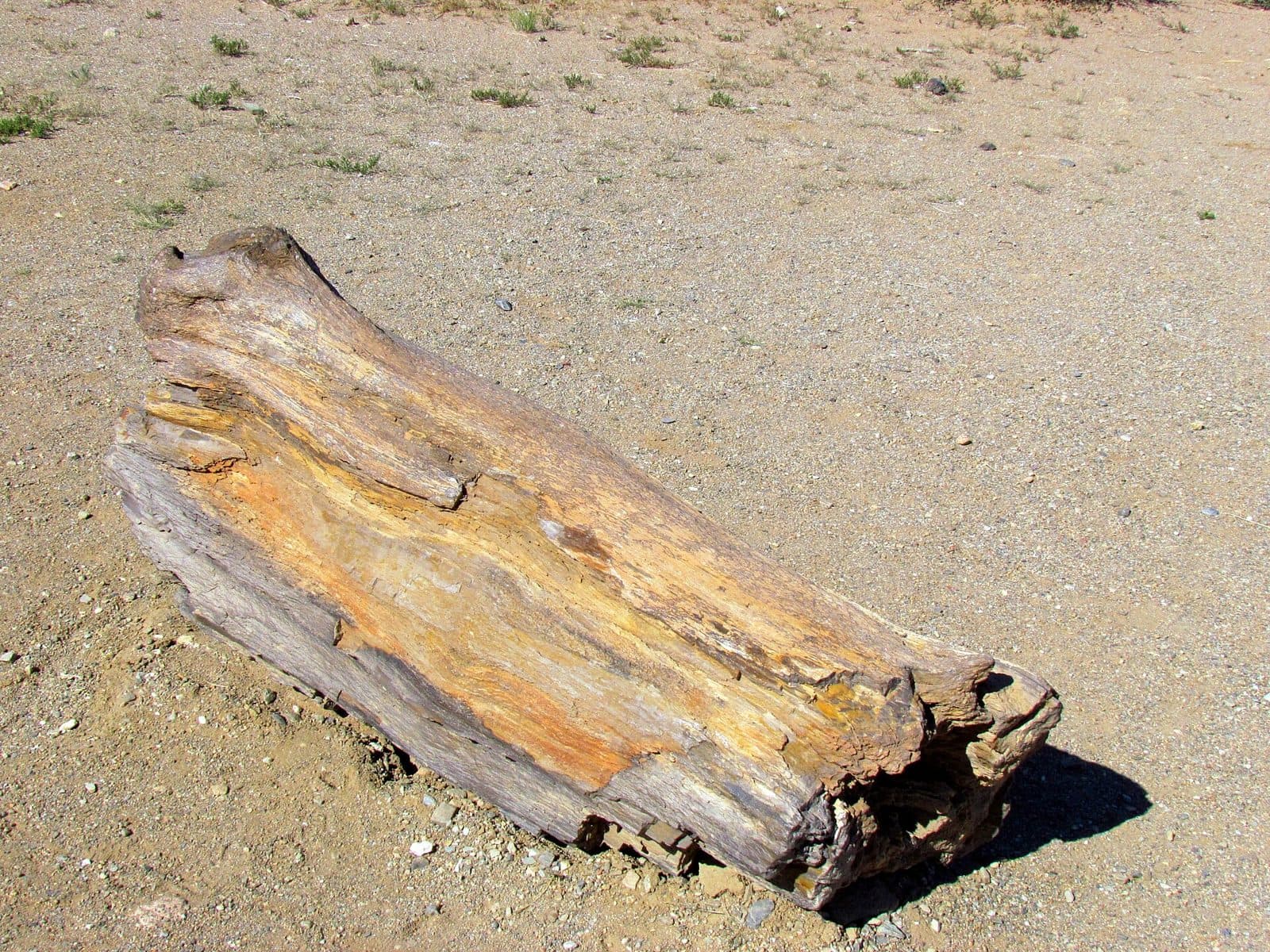 8-Day East-to-South Gobi Crossing